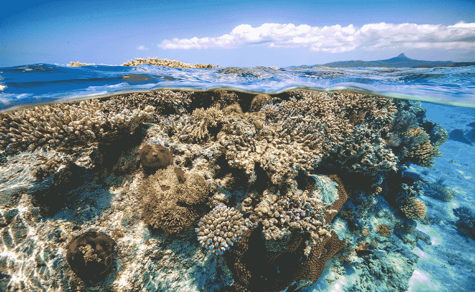 Image of Tomorrow’s world