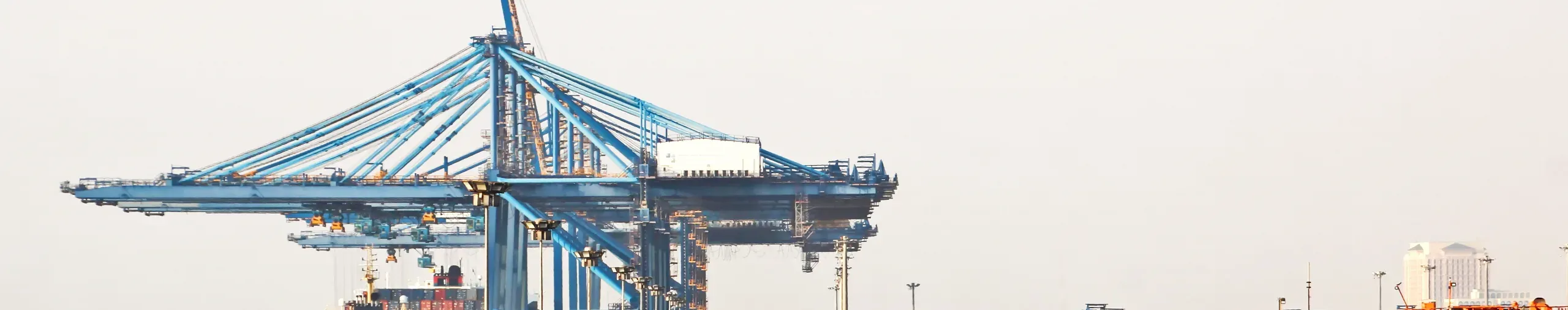 Container ships docked at port. 